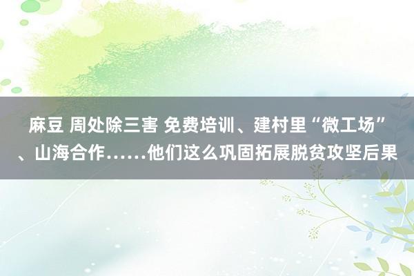 麻豆 周处除三害 免费培训、建村里“微工场”、山海合作……他们这么巩固拓展脱贫攻坚后果