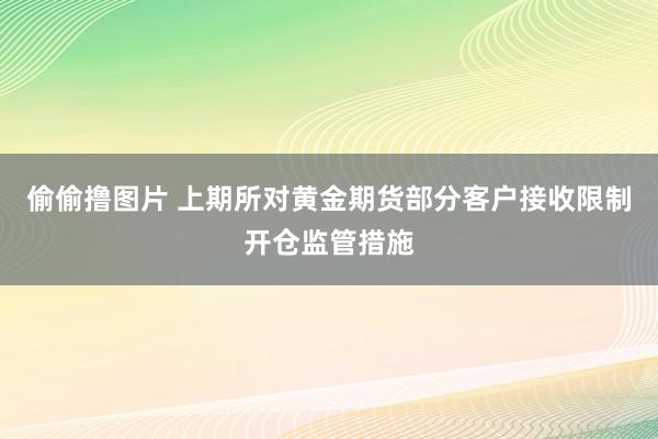 偷偷撸图片 上期所对黄金期货部分客户接收限制开仓监管措施