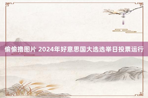 偷偷撸图片 2024年好意思国大选选举日投票运行