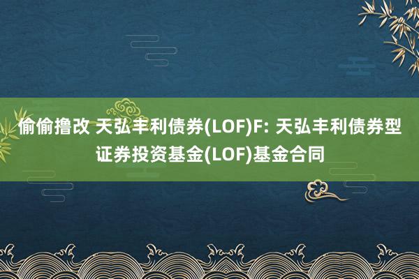 偷偷撸改 天弘丰利债券(LOF)F: 天弘丰利债券型证券投资基金(LOF)基金合同