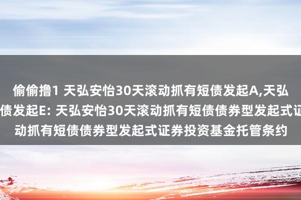 偷偷撸1 天弘安怡30天滚动抓有短债发起A，天弘安怡30天滚动抓有短债发起E: 天弘安怡30天滚动抓有短债债券型发起式证券投资基金托管条约