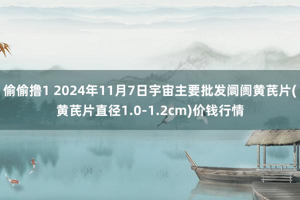 偷偷撸1 2024年11月7日宇宙主要批发阛阓黄芪片(黄芪片直径1.0-1.2cm)价钱行情