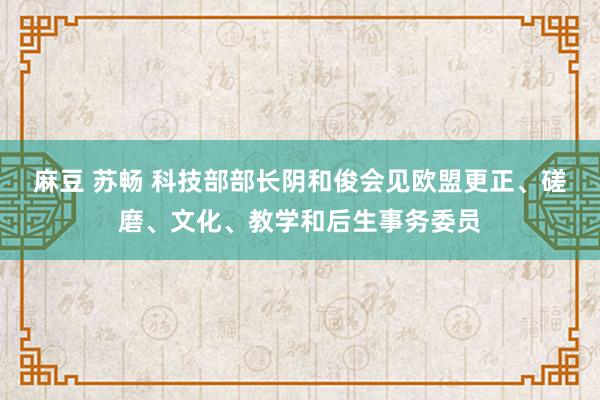 麻豆 苏畅 科技部部长阴和俊会见欧盟更正、磋磨、文化、教学和后生事务委员