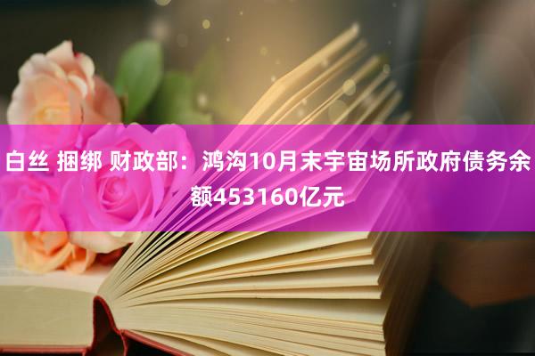 白丝 捆绑 财政部：鸿沟10月末宇宙场所政府债务余额453160亿元