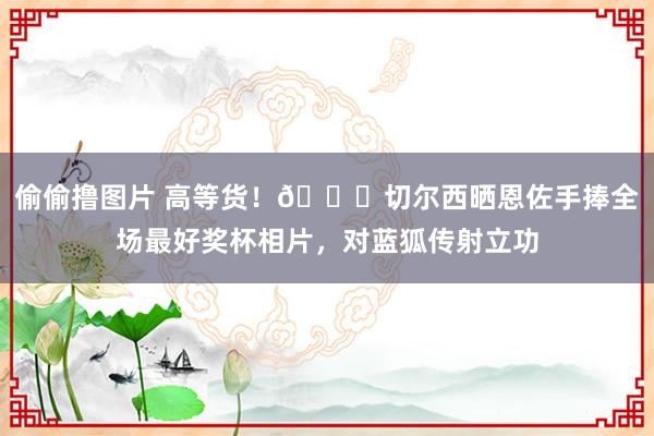 偷偷撸图片 高等货！👍切尔西晒恩佐手捧全场最好奖杯相片，对蓝狐传射立功