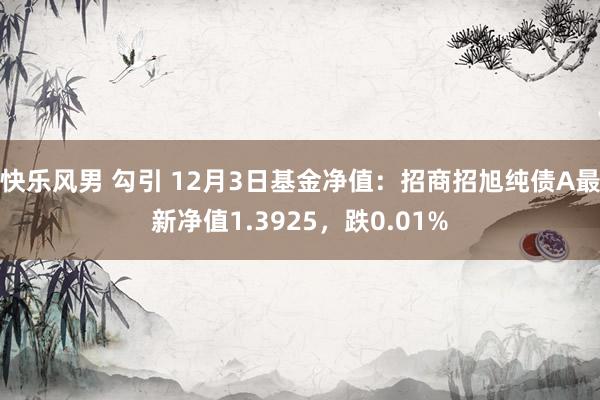 快乐风男 勾引 12月3日基金净值：招商招旭纯债A最新净值1.3925，跌0.01%