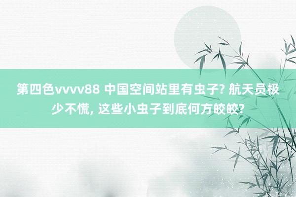 第四色vvvv88 中国空间站里有虫子? 航天员极少不慌， 这些小虫子到底何方皎皎?