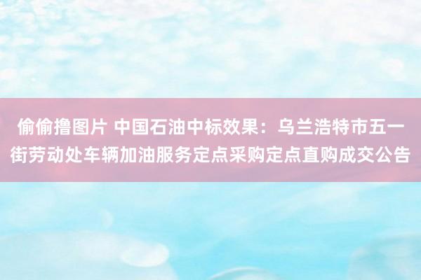 偷偷撸图片 中国石油中标效果：乌兰浩特市五一街劳动处车辆加油服务定点采购定点直购成交公告