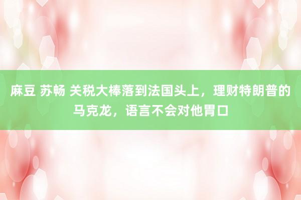 麻豆 苏畅 关税大棒落到法国头上，理财特朗普的马克龙，语言不会对他胃口