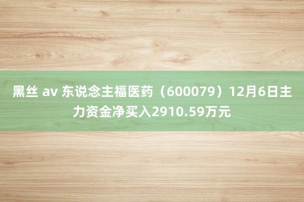 黑丝 av 东说念主福医药（600079）12月6日主力资金净买入2910.59万元