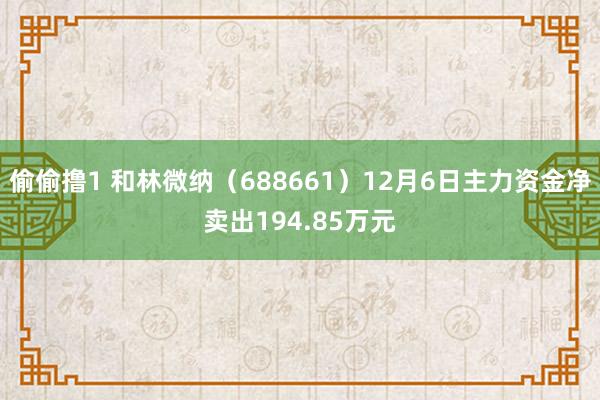 偷偷撸1 和林微纳（688661）12月6日主力资金净卖出194.85万元