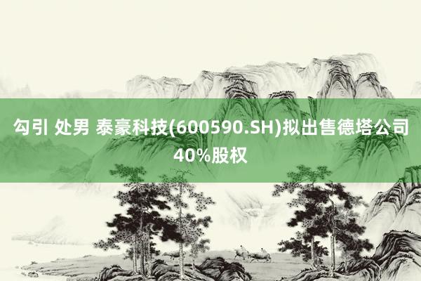 勾引 处男 泰豪科技(600590.SH)拟出售德塔公司40%股权