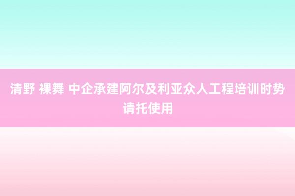 清野 裸舞 中企承建阿尔及利亚众人工程培训时势请托使用