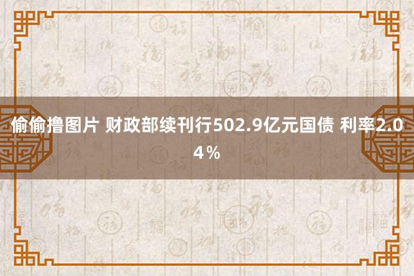 偷偷撸图片 财政部续刊行502.9亿元国债 利率2.04％