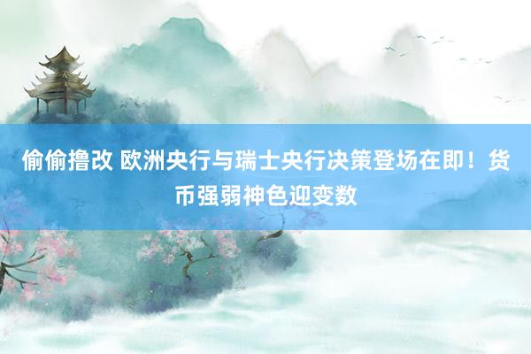 偷偷撸改 欧洲央行与瑞士央行决策登场在即！货币强弱神色迎变数