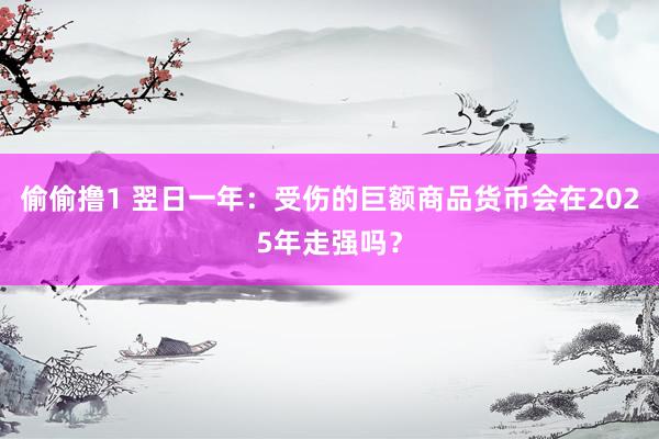 偷偷撸1 翌日一年：受伤的巨额商品货币会在2025年走强吗？