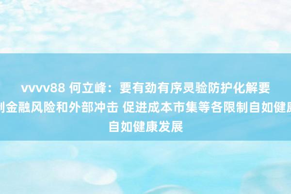 vvvv88 何立峰：要有劲有序灵验防护化解要点限制金融风险和外部冲击 促进成本市集等各限制自如健康发展