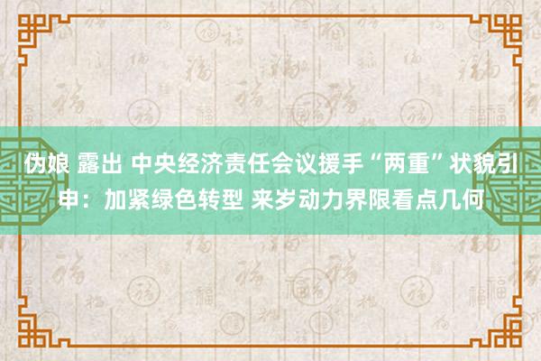 伪娘 露出 中央经济责任会议援手“两重”状貌引申：加紧绿色转型 来岁动力界限看点几何