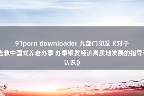 91porn downloader 九部门印发《对于金融搭救中国式养老办事 办事银发经济高质地发展的指导认识》