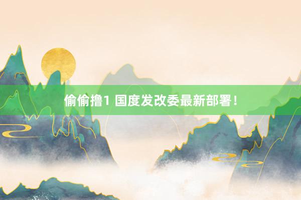 偷偷撸1 国度发改委最新部署！