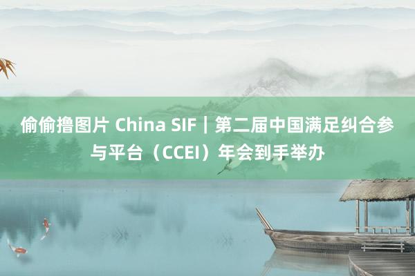 偷偷撸图片 China SIF｜第二届中国满足纠合参与平台（CCEI）年会到手举办