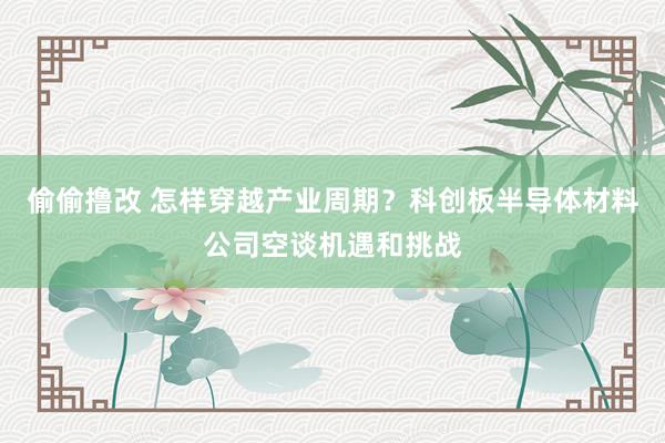 偷偷撸改 怎样穿越产业周期？科创板半导体材料公司空谈机遇和挑战