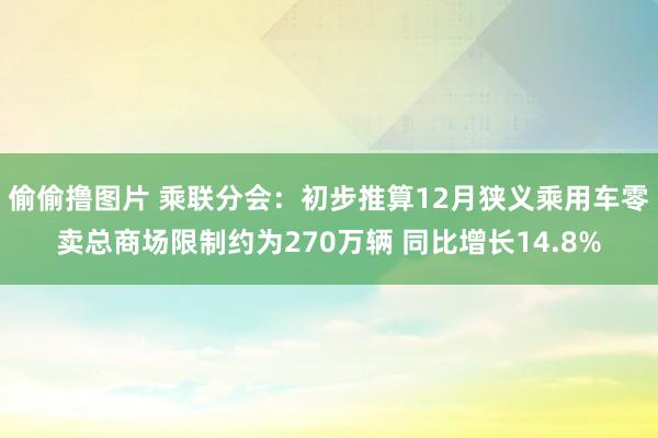 偷偷撸图片 乘联分会：初步推算12月狭义乘用车零卖总商场限制约为270万辆 同比增长14.8%