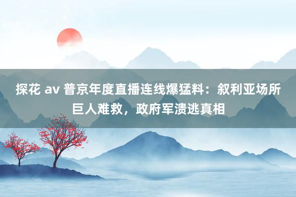 探花 av 普京年度直播连线爆猛料：叙利亚场所巨人难救，政府军溃逃真相