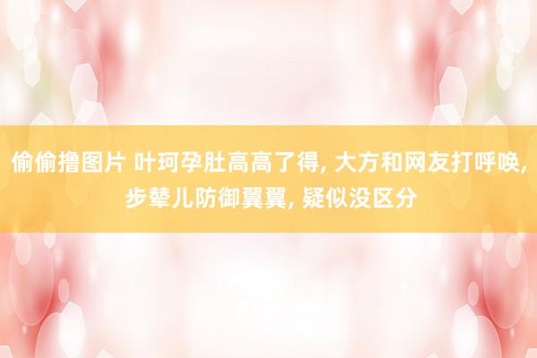 偷偷撸图片 叶珂孕肚高高了得， 大方和网友打呼唤， 步辇儿防御翼翼， 疑似没区分