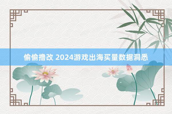 偷偷撸改 2024游戏出海买量数据洞悉