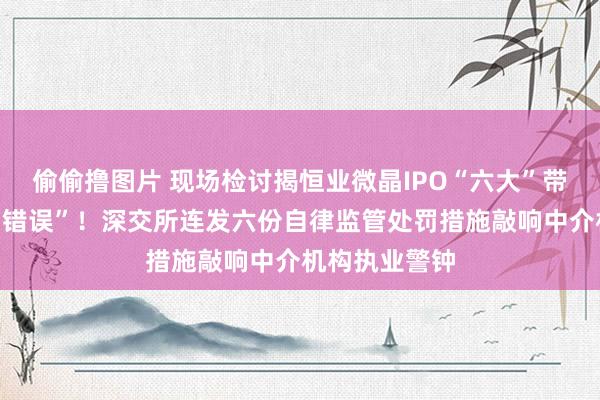 偷偷撸图片 现场检讨揭恒业微晶IPO“六大”带病闯关上市“错误”！深交所连发六份自律监管处罚措施敲响中介机构执业警钟