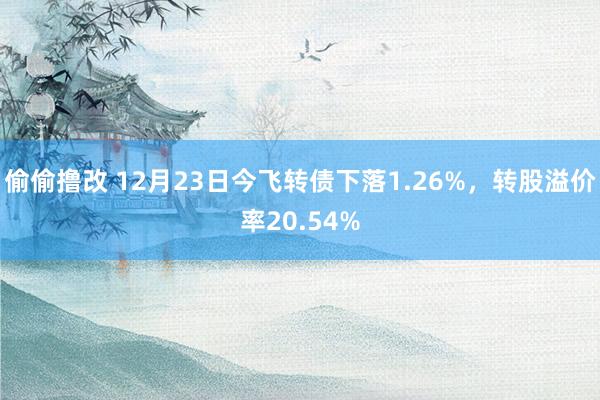 偷偷撸改 12月23日今飞转债下落1.26%，转股溢价率20.54%