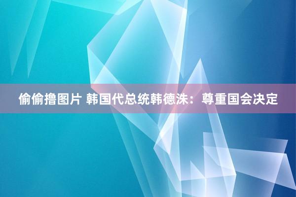 偷偷撸图片 韩国代总统韩德洙：尊重国会决定