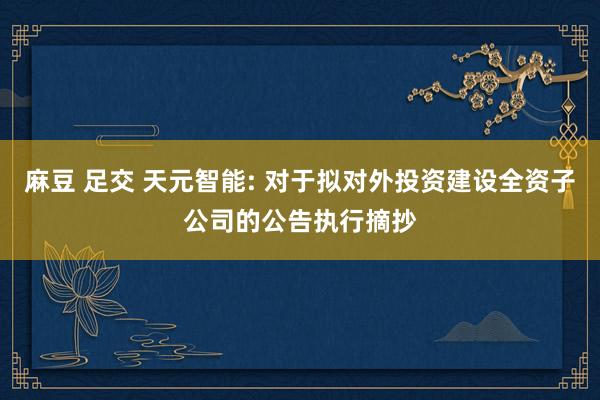 麻豆 足交 天元智能: 对于拟对外投资建设全资子公司的公告执行摘抄