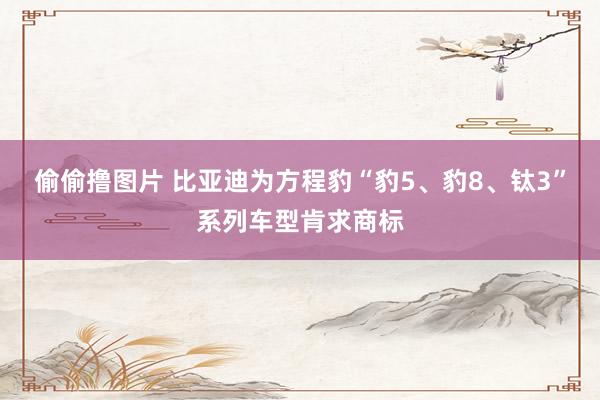 偷偷撸图片 比亚迪为方程豹“豹5、豹8、钛3”系列车型肯求商标