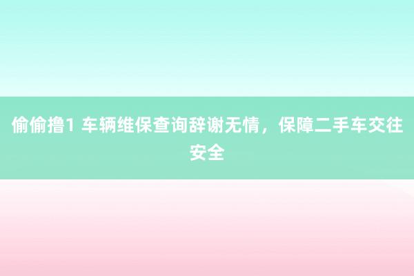 偷偷撸1 车辆维保查询辞谢无情，保障二手车交往安全