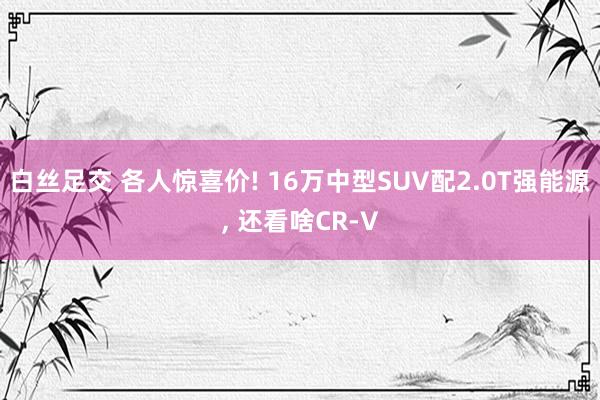 白丝足交 各人惊喜价! 16万中型SUV配2.0T强能源， 还看啥CR-V