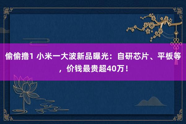 偷偷撸1 小米一大波新品曝光：自研芯片、平板等，价钱最贵超40万！