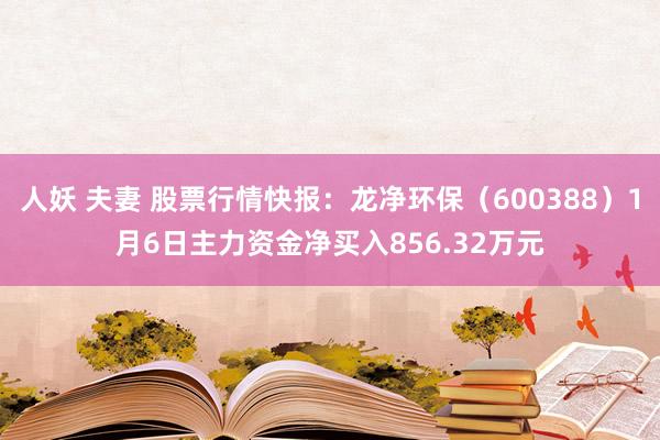 人妖 夫妻 股票行情快报：龙净环保（600388）1月6日主力资金净买入856.32万元