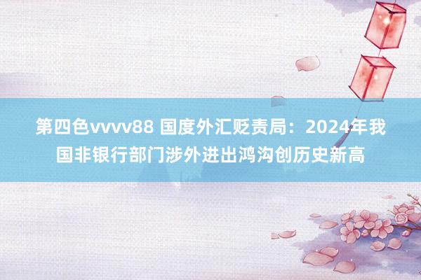 第四色vvvv88 国度外汇贬责局：2024年我国非银行部门涉外进出鸿沟创历史新高