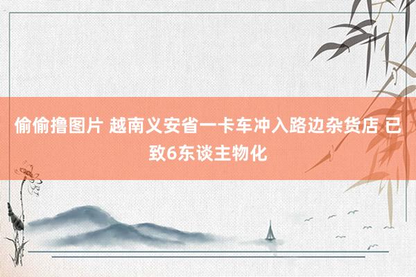 偷偷撸图片 越南义安省一卡车冲入路边杂货店 已致6东谈主物化