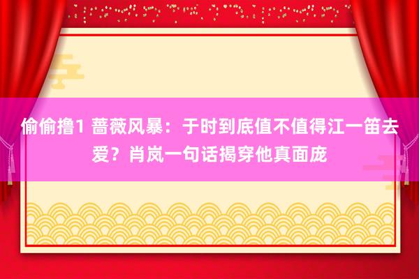 偷偷撸1 蔷薇风暴：于时到底值不值得江一笛去爱？肖岚一句话揭穿他真面庞