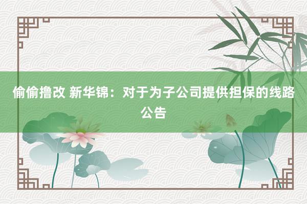 偷偷撸改 新华锦：对于为子公司提供担保的线路公告