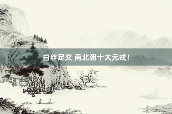 白丝足交 南北朝十大元戎！