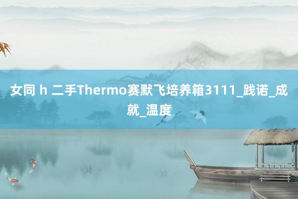 女同 h 二手Thermo赛默飞培养箱3111_践诺_成就_温度